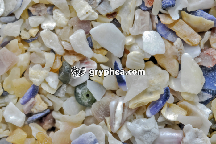 Sable plage d'Erquy (Finistère) x3 - gryphea.org